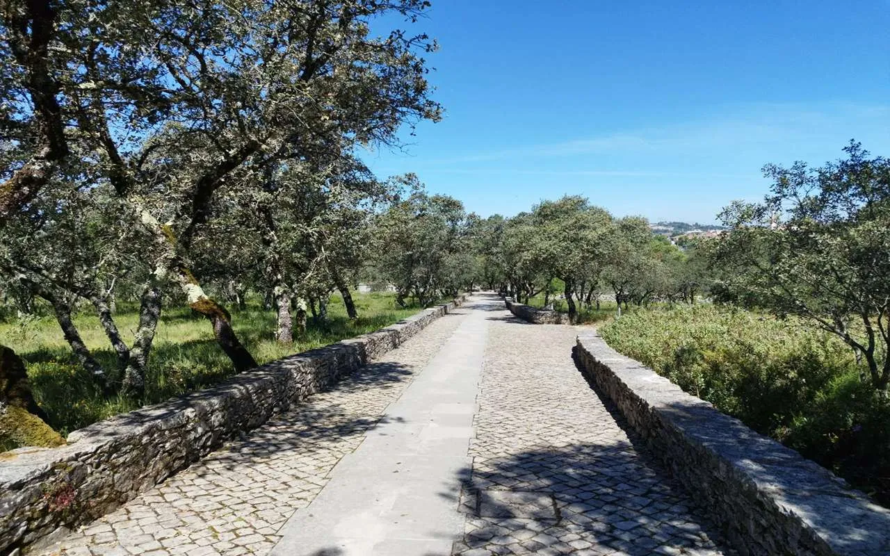 Via Sacra tra gli ulivi verso Valinhos, Fatima